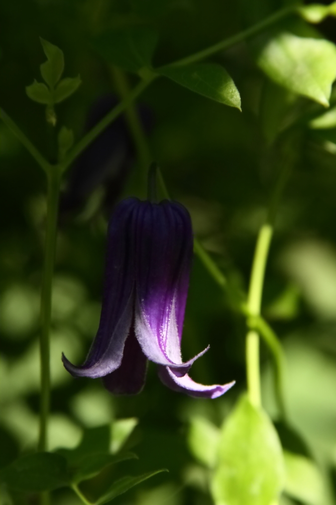 2011 07 30 IMG 34744